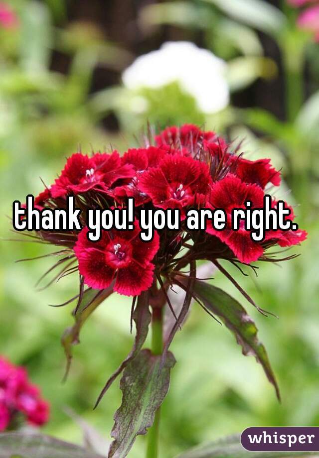 thank you! you are right. 