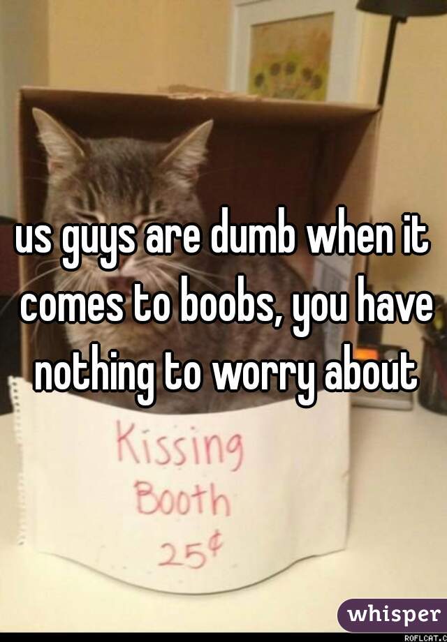us guys are dumb when it comes to boobs, you have nothing to worry about