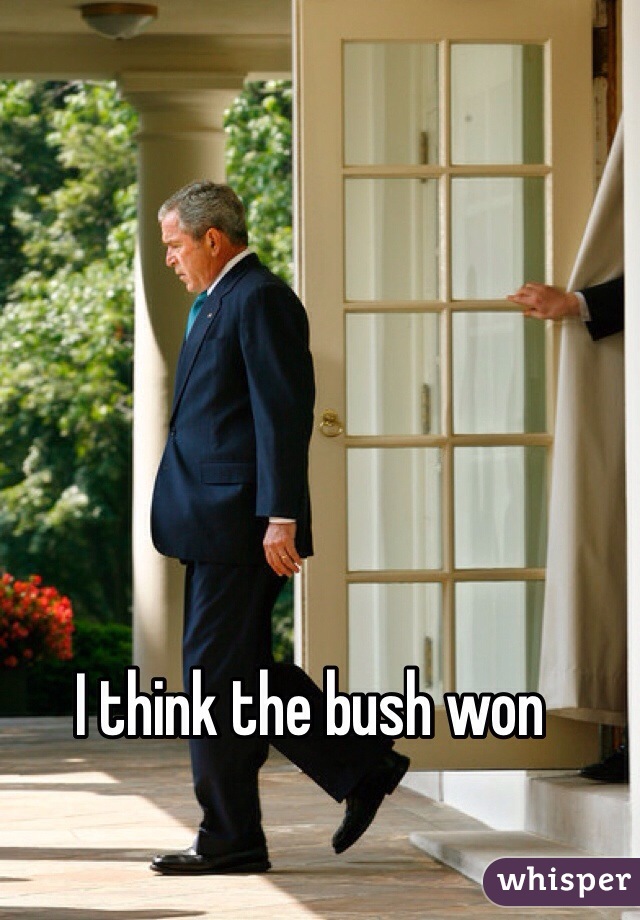 I think the bush won