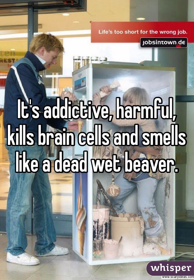 It's addictive, harmful, kills brain cells and smells like a dead wet beaver. 