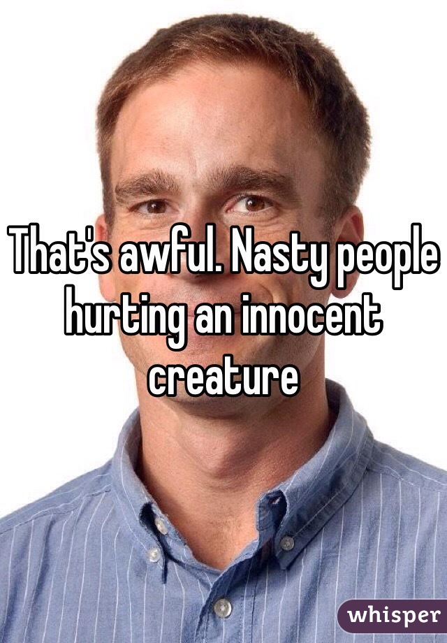 That's awful. Nasty people hurting an innocent creature