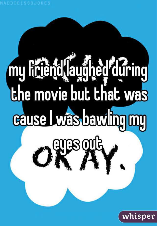 my friend laughed during the movie but that was cause I was bawling my eyes out 