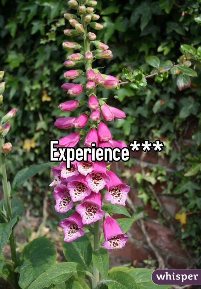 Experience***