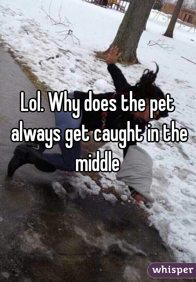 Lol. Why does the pet always get caught in the middle 