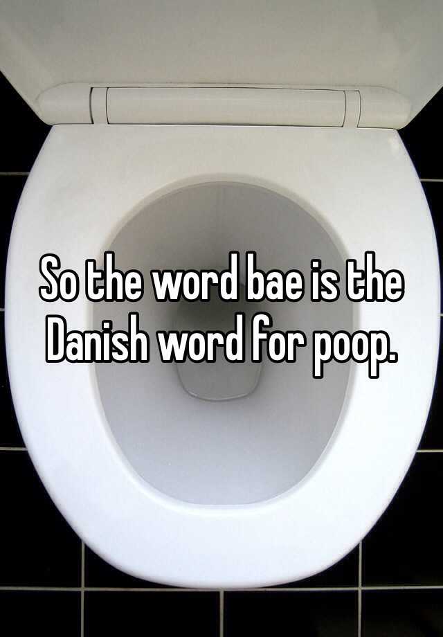 so-the-word-bae-is-the-danish-word-for-poop