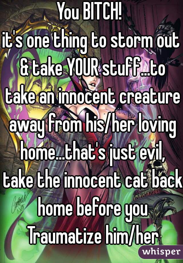 You BITCH! 
it's one thing to storm out & take YOUR stuff...to take an innocent creature away from his/her loving home...that's just evil, take the innocent cat back home before you Traumatize him/her
