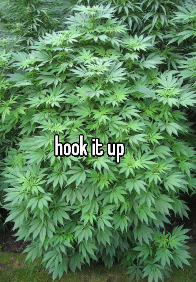 hook-it-up