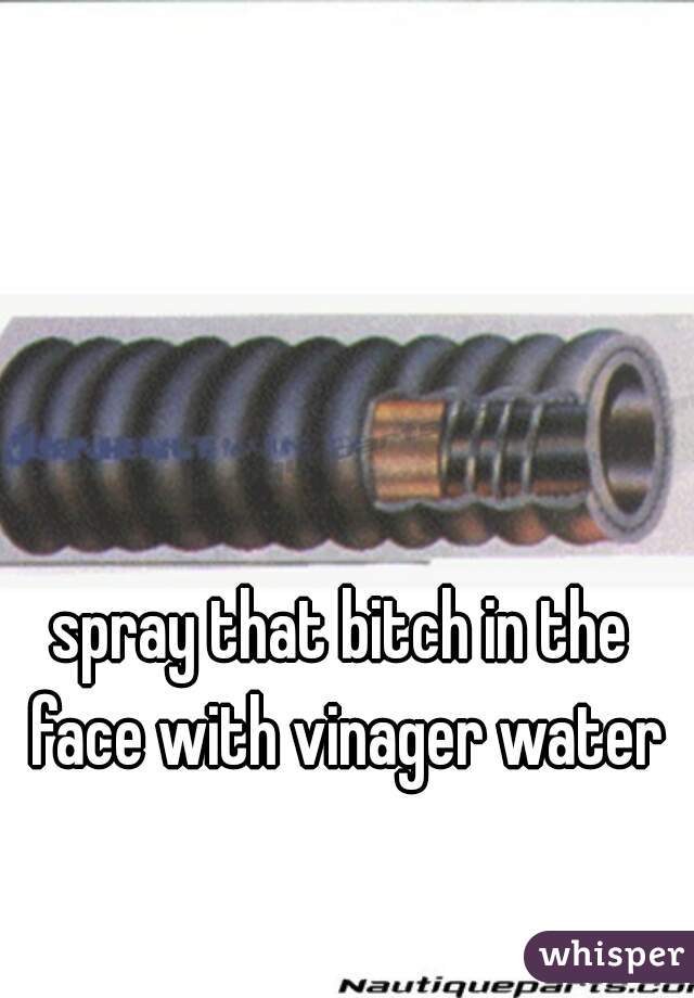 spray that bitch in the face with vinager water