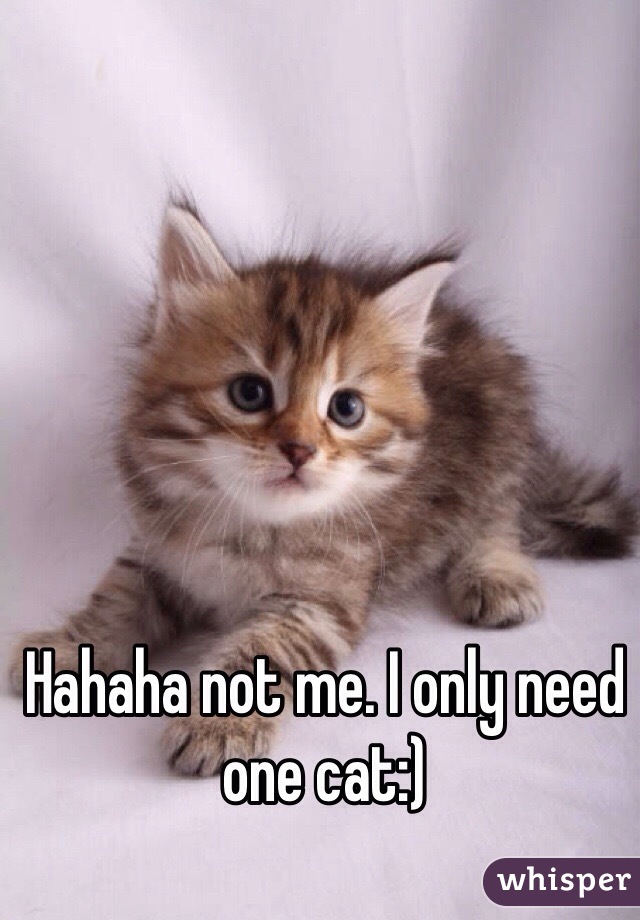 Hahaha not me. I only need one cat:) 