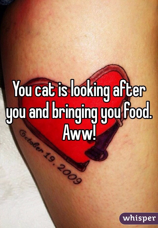 You cat is looking after you and bringing you food. Aww!