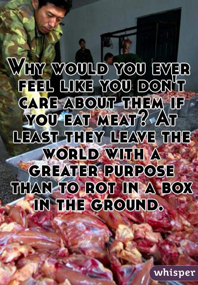 Why would you ever feel like you don't care about them if you eat meat? At least they leave the world with a greater purpose than to rot in a box in the ground. 