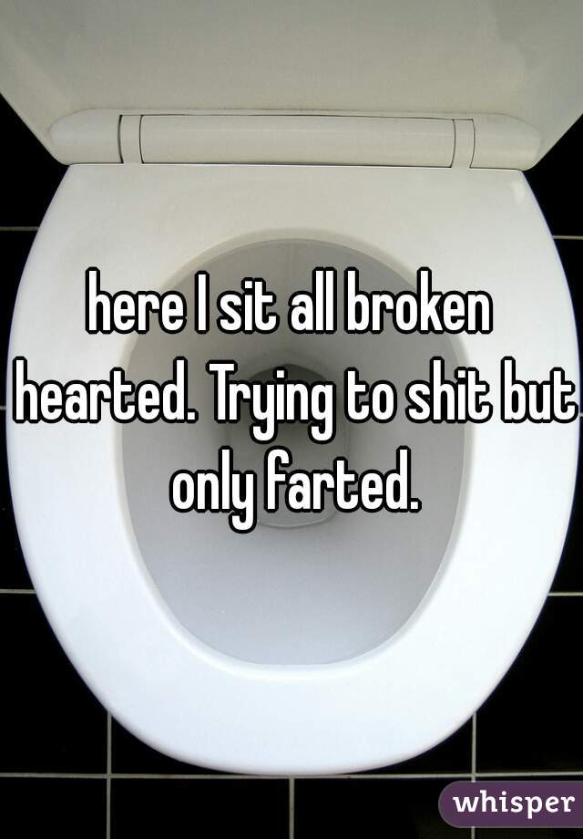 here I sit all broken hearted. Trying to shit but only farted.