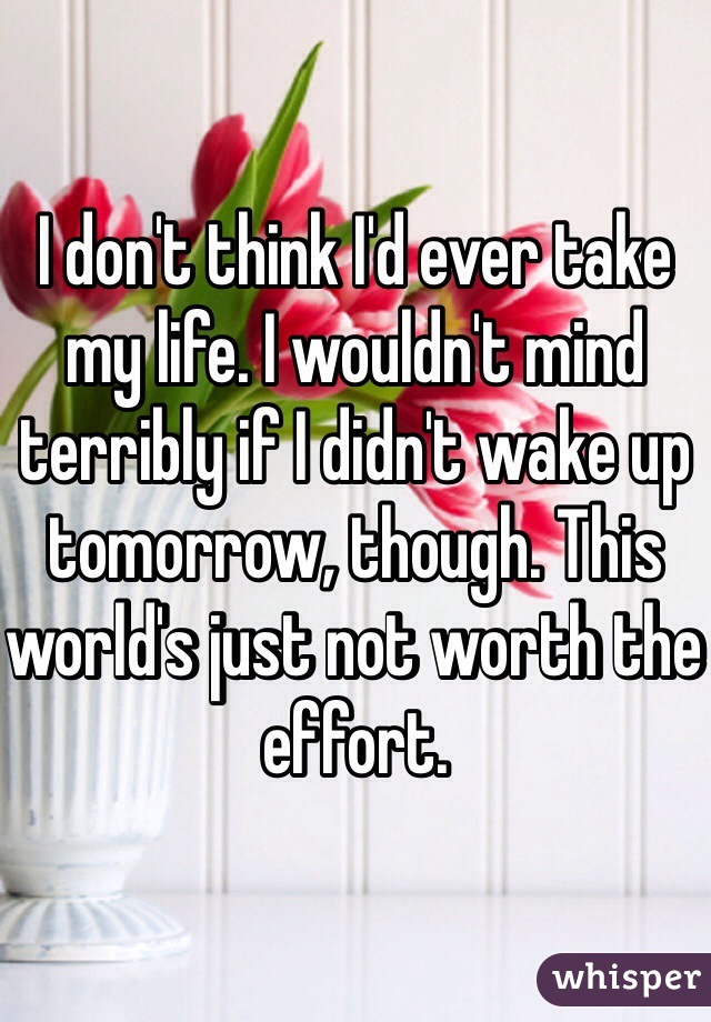 I don't think I'd ever take my life. I wouldn't mind terribly if I didn't wake up tomorrow, though. This world's just not worth the effort. 