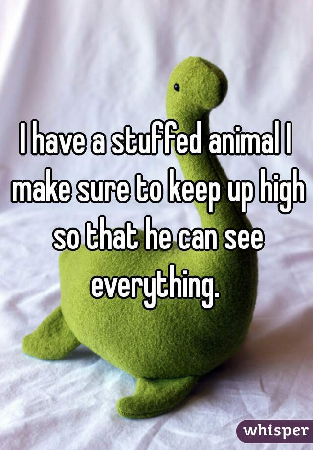 I have a stuffed animal I make sure to keep up high so that he can see everything. 