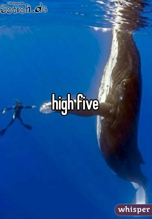 high five