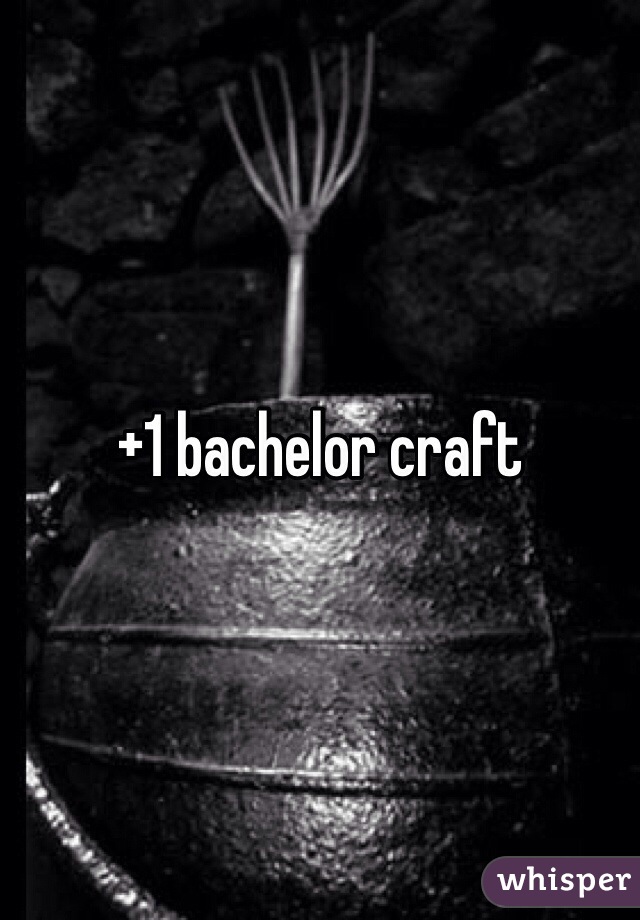 +1 bachelor craft