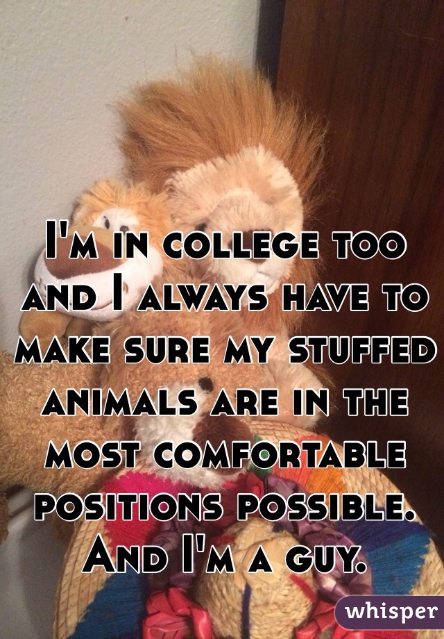 I'm in college too and I always have to make sure my stuffed animals are in the most comfortable positions possible. And I'm a guy.