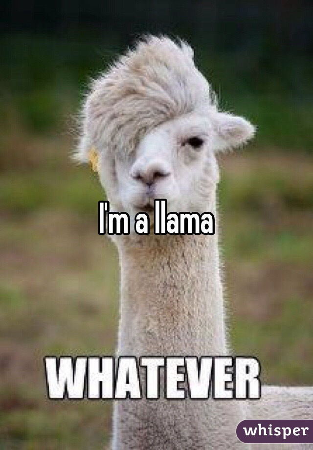 I'm a llama 