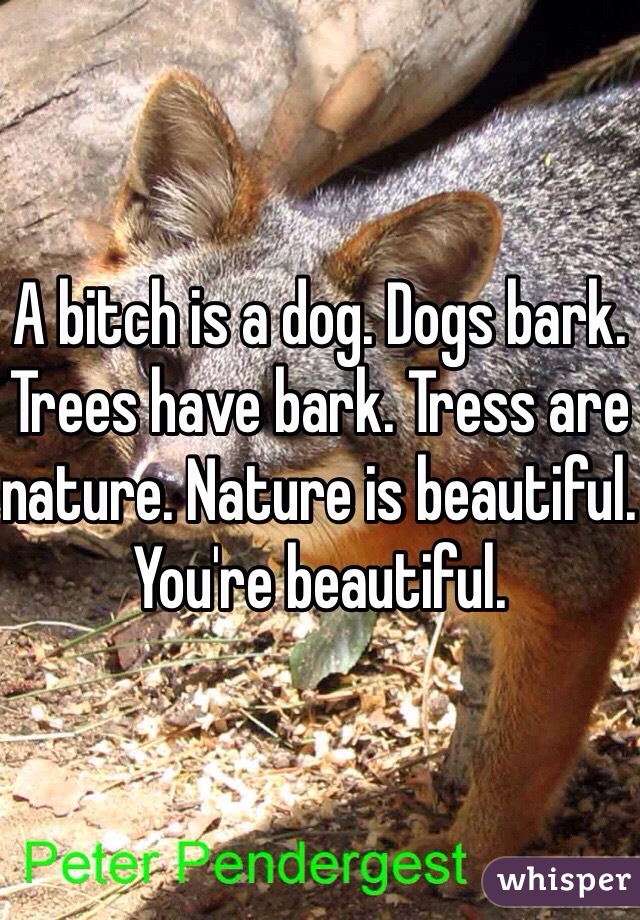 A bitch is a dog. Dogs bark. Trees have bark. Tress are nature. Nature is beautiful. You're beautiful.