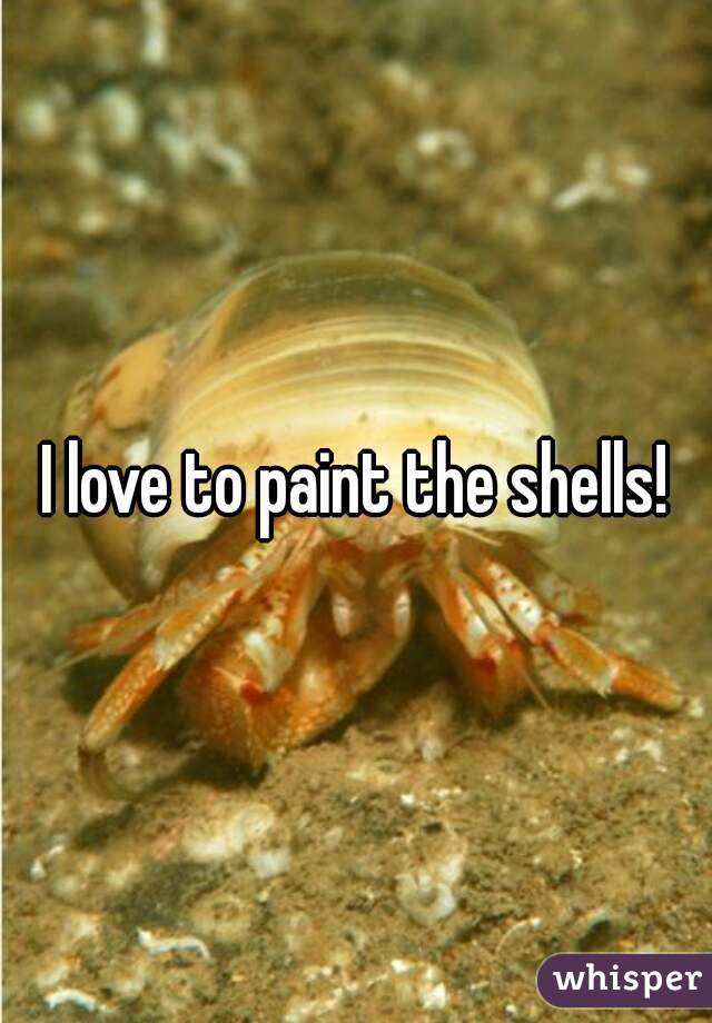 I love to paint the shells!