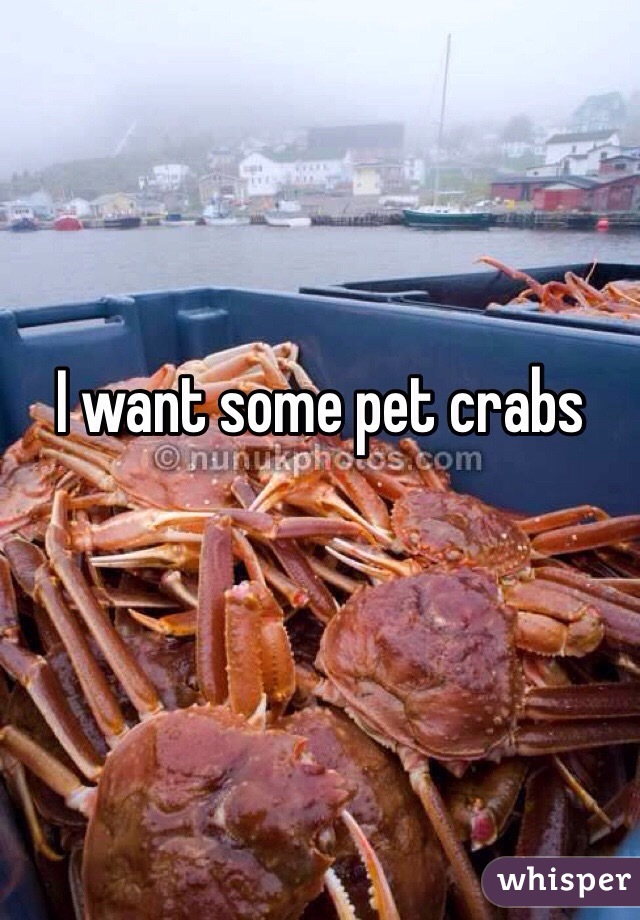 I want some pet crabs 
