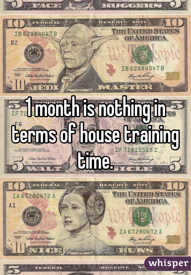 1 month is nothing in terms of house training time.