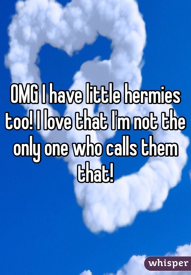 OMG I have little hermies too! I love that I'm not the only one who calls them that!