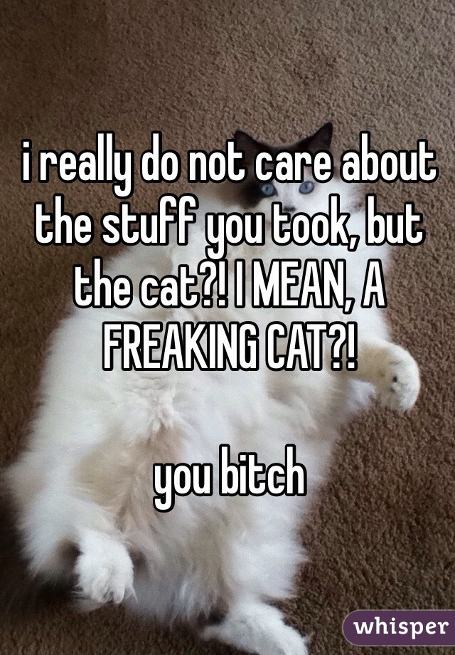 i really do not care about the stuff you took, but the cat?! I MEAN, A FREAKING CAT?!

you bitch 