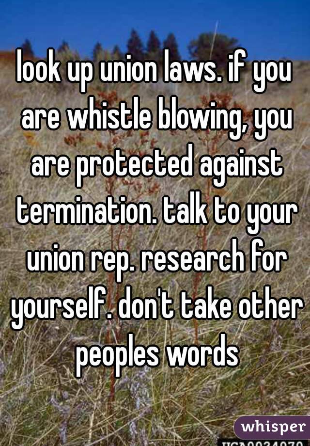 look up union laws. if you are whistle blowing, you are protected against termination. talk to your union rep. research for yourself. don't take other peoples words