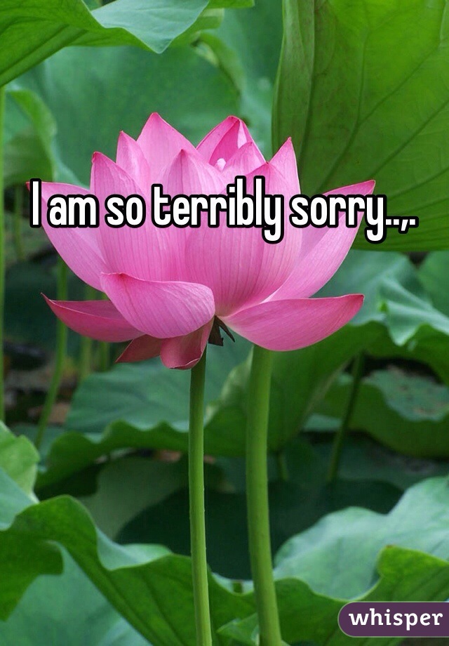 I am so terribly sorry..,.