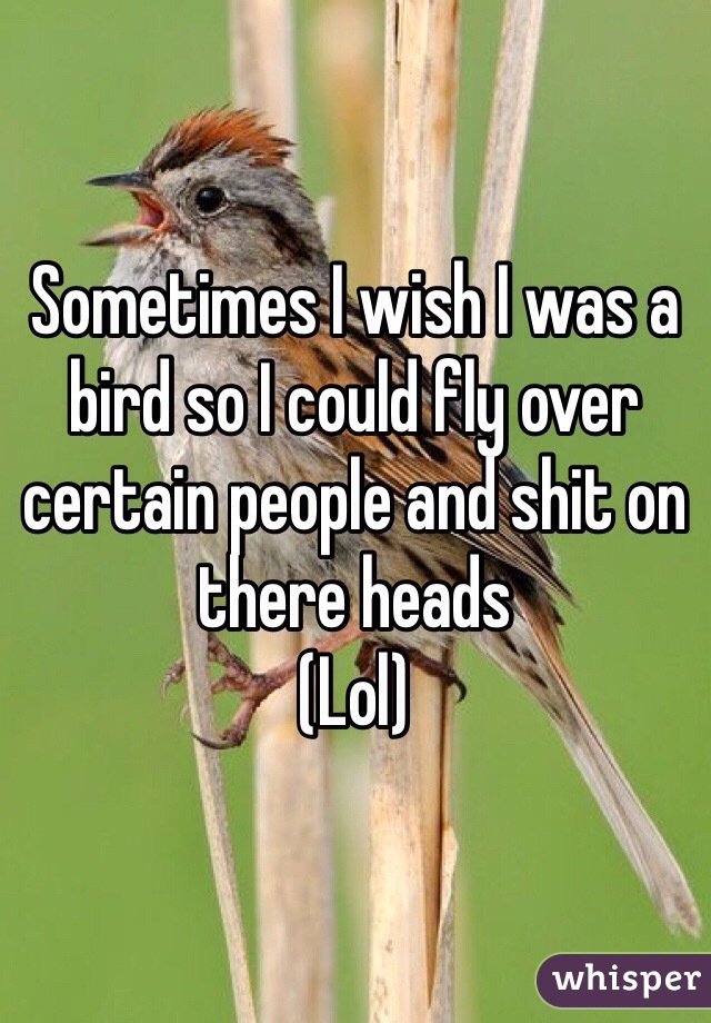 Sometimes I wish I was a bird so I could fly over certain people and shit on there heads 
(Lol)