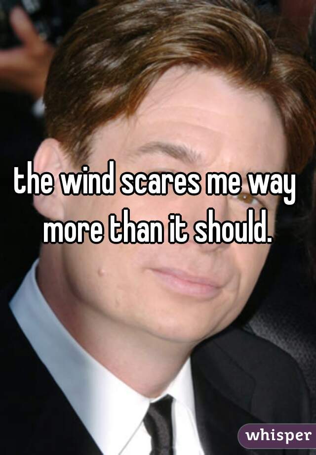 the wind scares me way more than it should.
