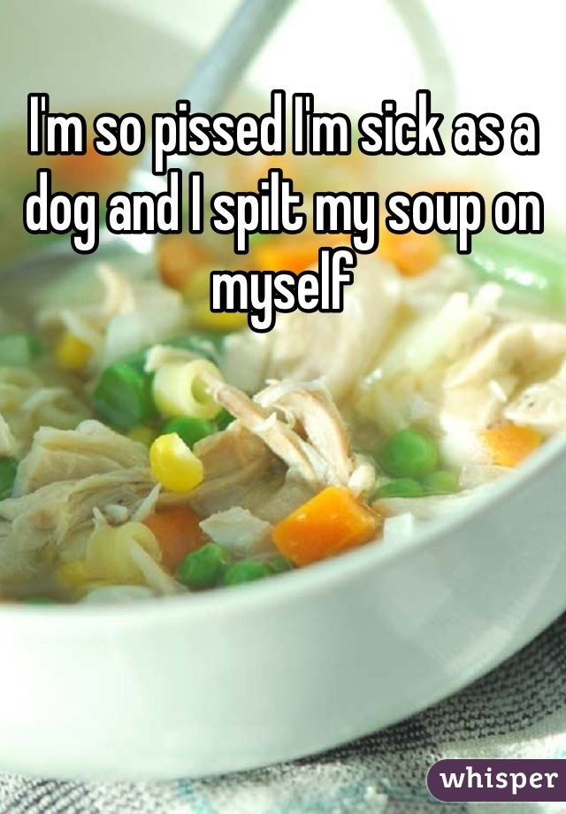 I'm so pissed I'm sick as a dog and I spilt my soup on myself