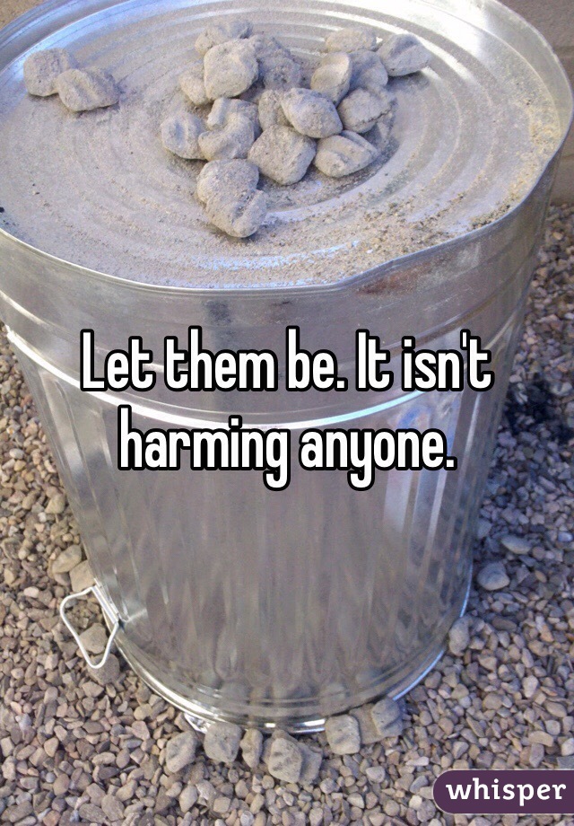 Let them be. It isn't harming anyone. 