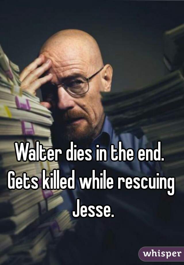 Walter dies in the end. 
Gets killed while rescuing Jesse.