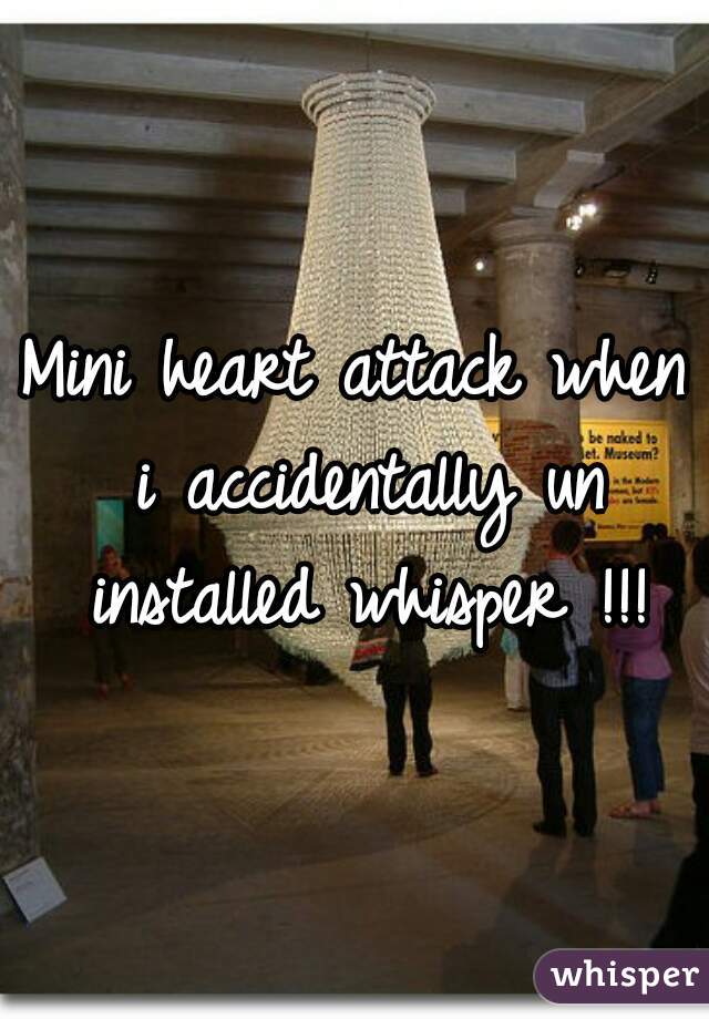 Mini heart attack when i accidentally un installed whisper !!!