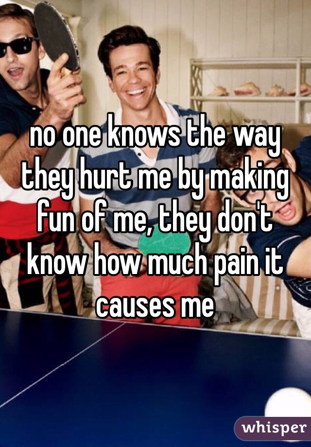 no one knows the way they hurt me by making fun of me, they don't know how much pain it causes me 