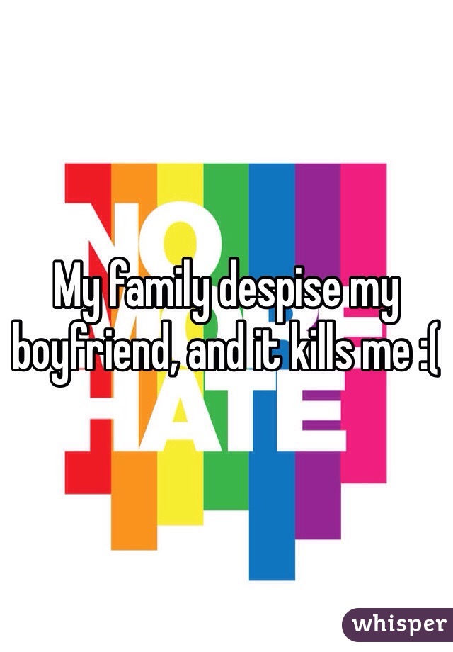 My family despise my boyfriend, and it kills me :( 