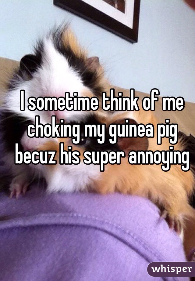 I sometime think of me choking my guinea pig becuz his super annoying 