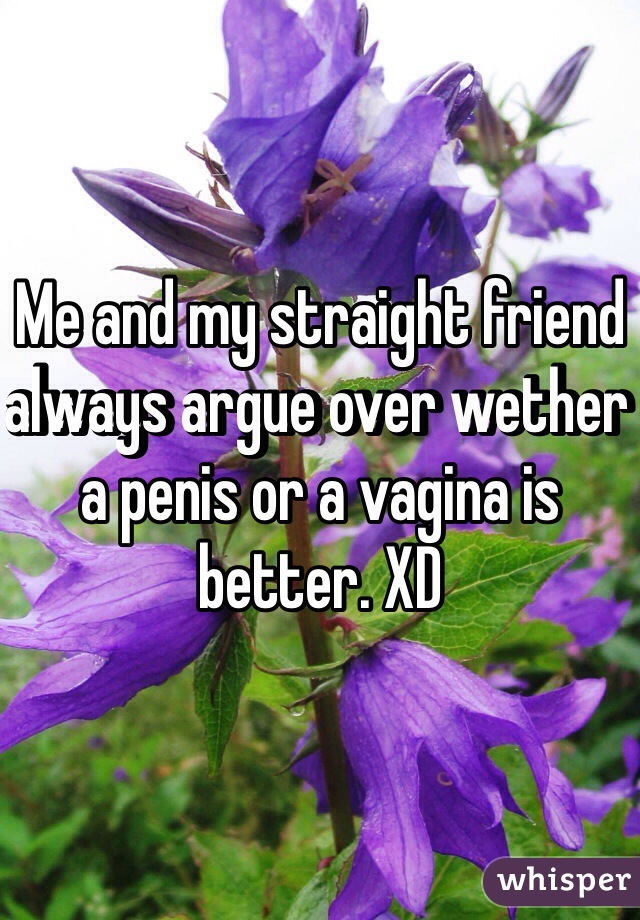 Me and my straight friend always argue over wether a penis or a vagina is better. XD