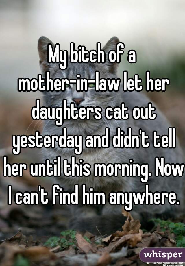 My bitch of a mother-in-law let her daughters cat out yesterday and didn't tell her until this morning. Now I can't find him anywhere.