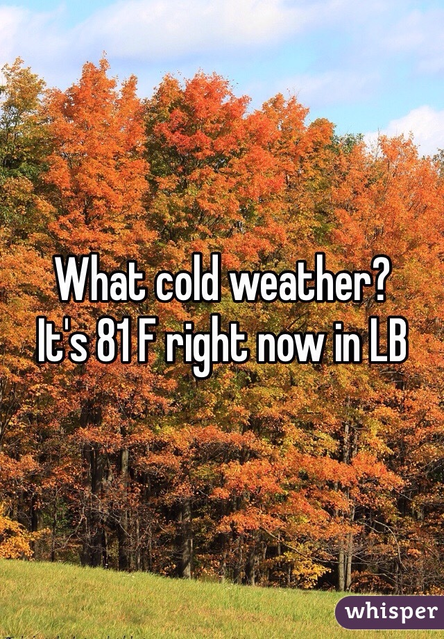 What cold weather?
It's 81 F right now in LB