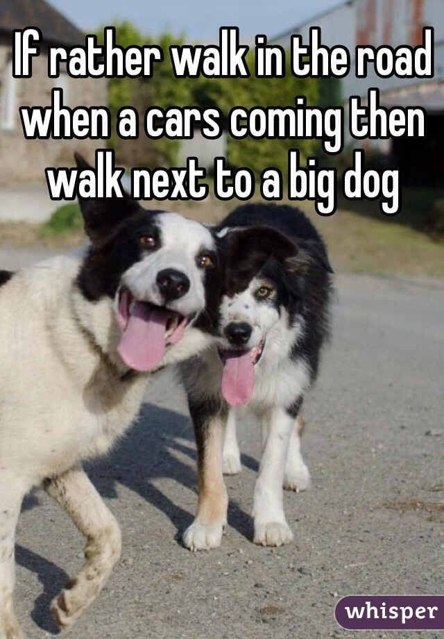 If rather walk in the road when a cars coming then walk next to a big dog 