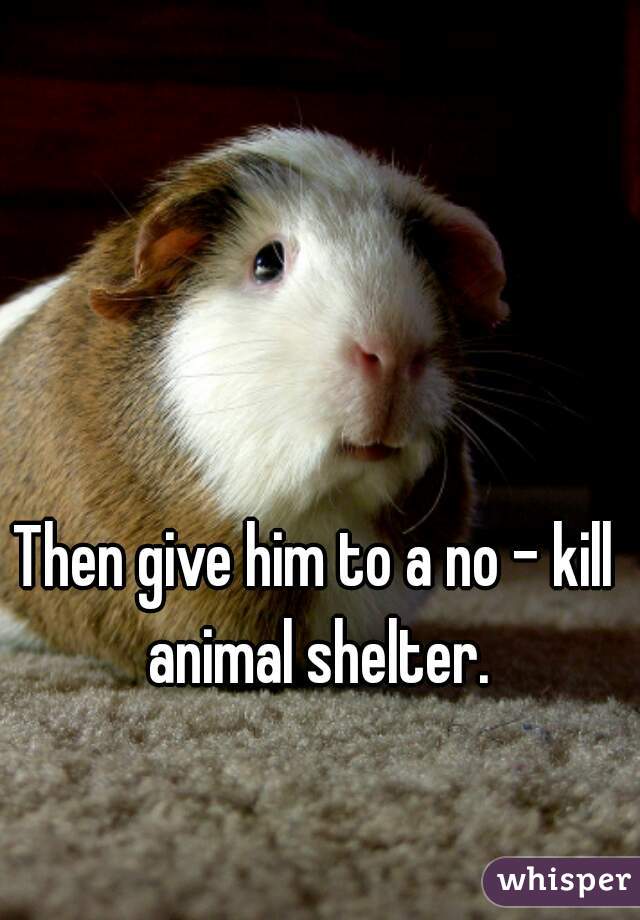 Then give him to a no - kill animal shelter.