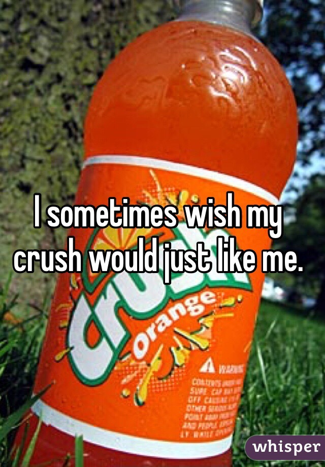 I sometimes wish my crush would just like me. 