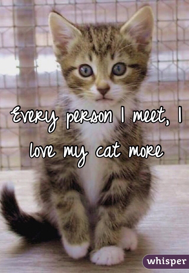 Every person I meet, I love my cat more