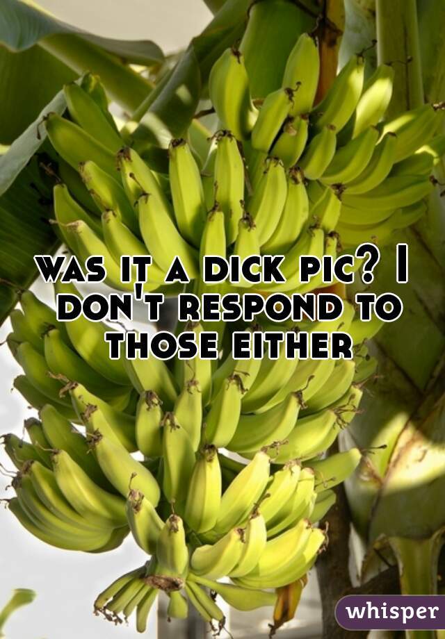 was it a dick pic? I don't respond to those either