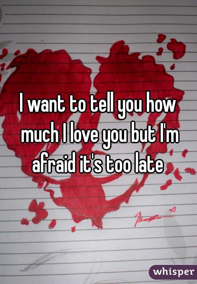 I want to tell you how much I love you but I'm afraid it's too late 