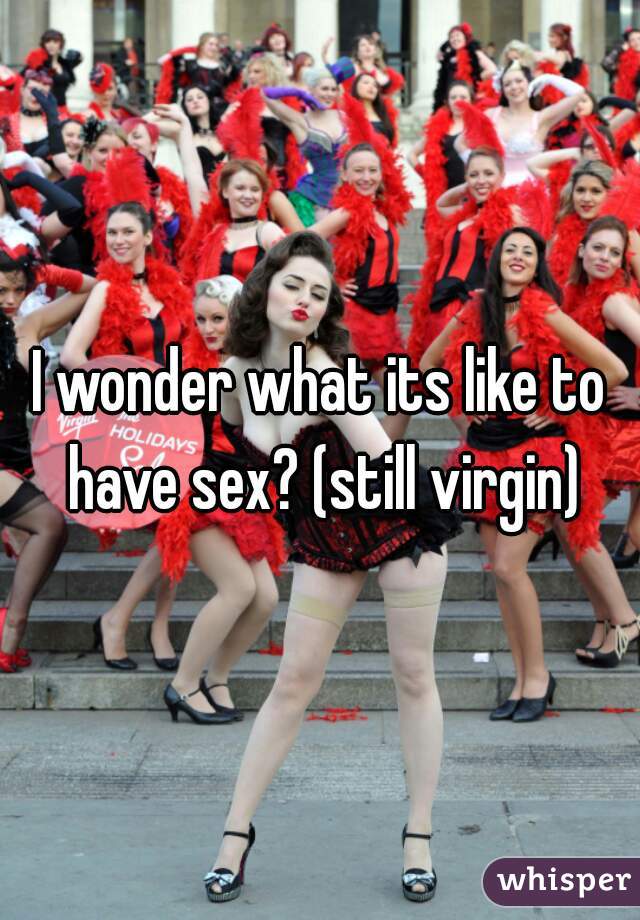 I wonder what its like to have sex? (still virgin)