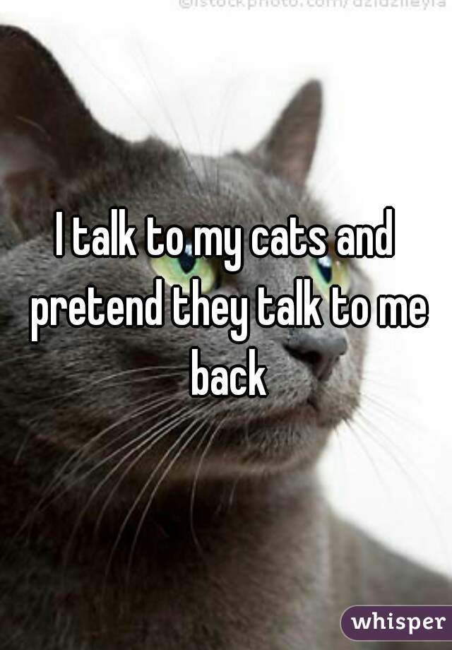 I talk to my cats and pretend they talk to me back